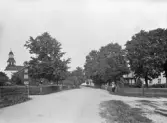 Södra Vi