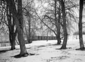 Södra Vi hälsobrunn