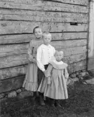 Tre barn, syskon