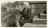 Hedvig Ulfsparre med hund, Kungsgårdens herrgård.