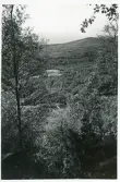 Vid Hamrafjäll i Härjedalen, 1941 (enligt text i album).