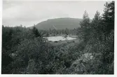 Funäsdalsberget, skidbacken, Härjedalen 1941 (enligt text i album).