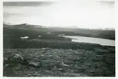Härjedalsfjäll. Ovanför morvallens fäbodar, juni 1942 (enligt text i album och baksida kort).