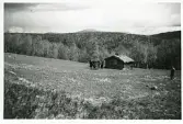 Utsikt från Morvallens fäbodar, juni 1942, Härjedalen (enligt text i album).