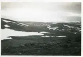 Vid fjällmassivet Skarvarnas fot, Härjedalen, 14 juni 1942 (enligt text i album).
