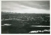 Utsikt mot de norska fjällen från fjällmassivet Skarvarna, Härjedalen, 1942 (enligt text i album).