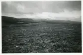 Utsikt mot Skalfjället, september 1941 (enligt text baksida kort).
