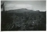 Åreskutan, Jämtland, manövern 1942 (enligt text baksida kort).