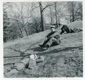 Slottsparken i Uppsala, dagen efter. 1/5 1942 (enligt text i album och baksida kort).