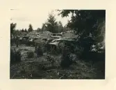 Kolonn av svenska stridsvagnar i skogen.