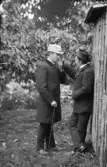 Vänner emellan