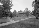 Lilla Bona