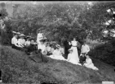 Damsällskap, Södra Vi