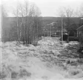 Vid Forsströms