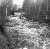 Vid Forsströms
