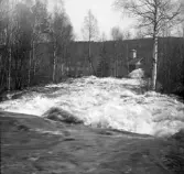 Vårflod vid Forsströms 1916
