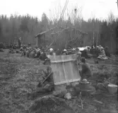 Gökotta