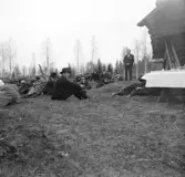 Gökotta