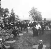 Sommarfest i Solarvet.
