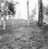 Rättvik. Stiernhöökstenen. 1916.