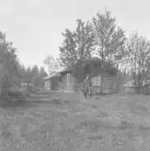 Rättvik. Från Åmmanbodarna, 1918.
