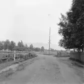 Rättvik. Öja majstång. 1917.