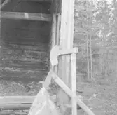 Rättvik, Sjurberg. Torvyxor vid Altjärn. 1918.