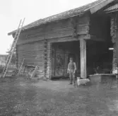 Rättvik, Nittsjö. Lissollas stall. 1917.