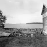 Mora. Orsasjön från Vattnäs. Lin på tork på gärdesgården. 1916.