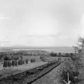 Mora. Vattnäs och Orsasjön.