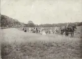 Skördearbete på Erikssons marker, Bölet okänt årtal. Flertalet uppklädda sommargäster går bakom en man som utför skördearbete med hjälp av ett par hästar. I området ses ängar och skog som idag är nuvarande Källåsvägen vid Hallenskolan. Namnuppgifter saknas.