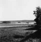 By, Spisbo. Från Snickars. 1931.