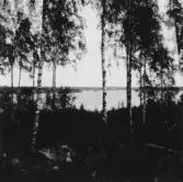 By, Fullsta. Från Gammelgården. Fullsta i bakgrunden. 1931.