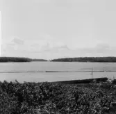 By, Spisbo. Rudusjön från Petters i Rudu. Springars i Spisbo till höger. 1931.