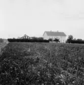 By, Fullsta. Per Ers. (Kommunalnämndsordför-ande August Erikssons). 1931.