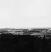 By, Strandmora klint. Från Strandmora klint åt väster. Bäsingen i mitten. 1931.