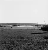 By, Spisbo. Från Alfred Gustafssons i Spisbo. Säljbo klint i bakgrunden. 1927.