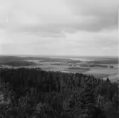 By, Strandmora klint. Från Strandmora klint åt väster. Bäsingen i mitten. 1931.