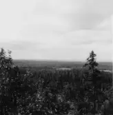 By, Strandmora klint. Från Strandmora klint åt Sydväst. 1931.