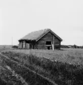By, Södra Strandmora. Lada med halmtak i Strandmora söder om sjön. 1931.