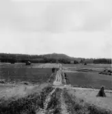By, Svensbo. Strandmora klint och Svensbo från norr. 1931.