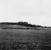 By, Fullsta. Skogskulle mellan Fullstagårdarna. 1931.