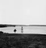 By, Rudu. Rudusjön från söder, Spisbo på andra sidan. 1931.