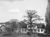 Kungsgatan 4, Linköping