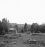 Gagnef. Från Kättjarbuan. Nolbäcksbuan i mitten.