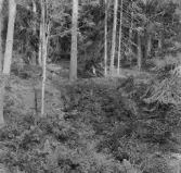 Garpenberg, Stålbo. Grop mellan Stålbo och Botbenning, troligen gruvförsök. 1929.