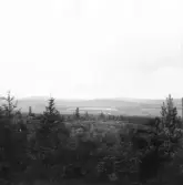Gagnef. Från Skinnarberget åt nordväst. Flogen i mitten, Djura till vänster och Gagnef till höger om den. 1918.