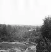 Gagnef. Björkbodarna. Mellersta gårdarna i Björkbuan. 1920.