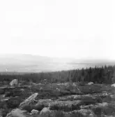 Gagnef. Västerdalälvens dalgång från Estjärberget.