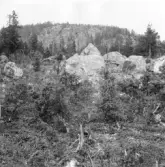 Gagnef. Djurmo klack från foten. 1920.